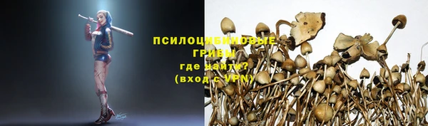тгк Балахна