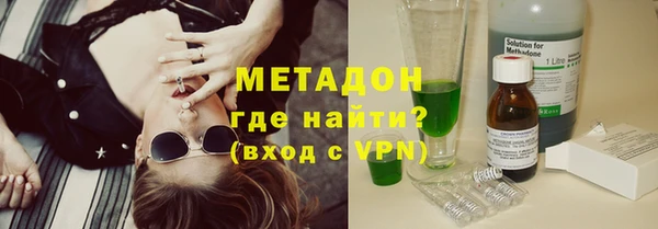 прущие грибы Сясьстрой