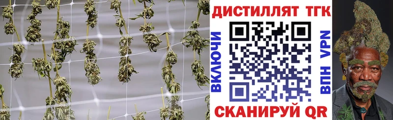 Дистиллят ТГК гашишное масло  мега онион  Бородино 