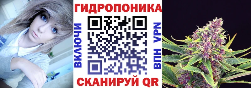 МЕГА tor  Бородино  Шишки марихуана сатива 